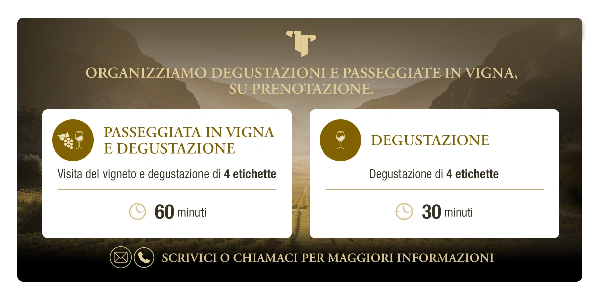 Prenota degustazioni e passeggiate in vigna